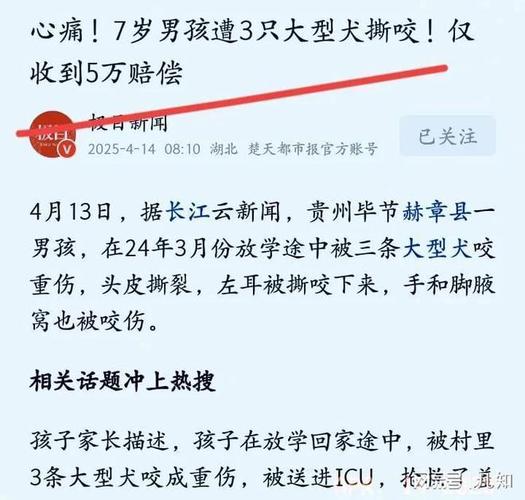 admin 第63页